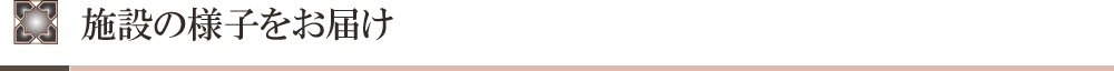 {݂̗lq͂